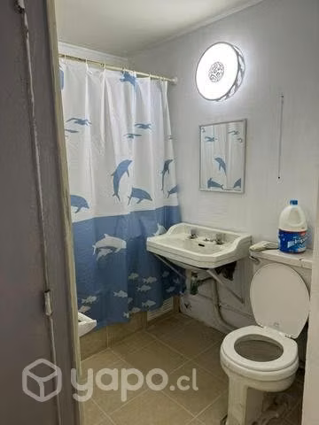 Arriendo amplio departamento avda Grecia