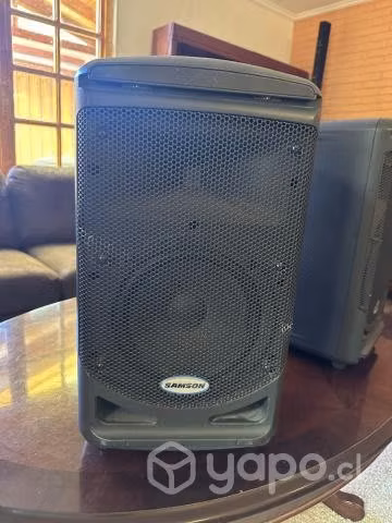 Parlantes Samson Expedition Xp308i