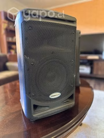 Parlantes Samson Expedition Xp308i