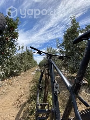 Trek Marlin 5 aro 29