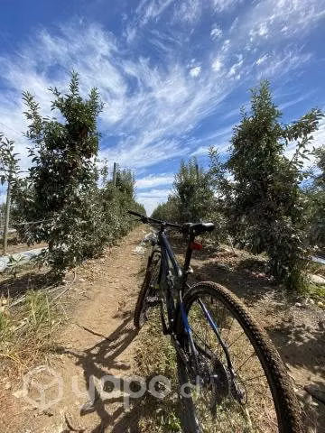 Trek Marlin 5 aro 29