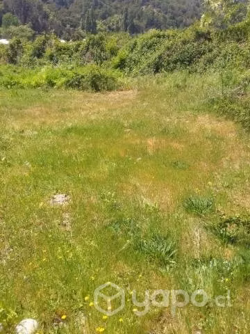 1 hectárea 1/2 de plan en precordillera Linares