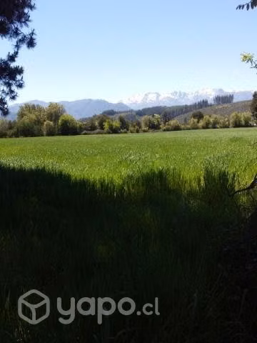 1 hectárea 1/2 de plan en precordillera Linares