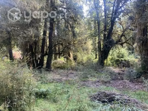 Parcela de una hectárea, orilla de río con dos cab