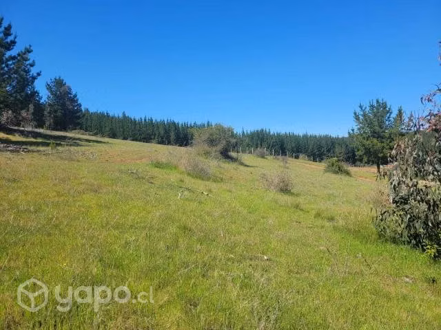 Parcelas