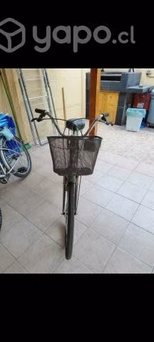Oxford de Paseo Aro 26