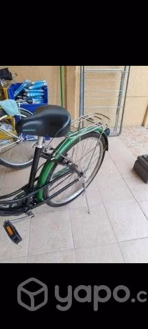 Oxford de Paseo Aro 26