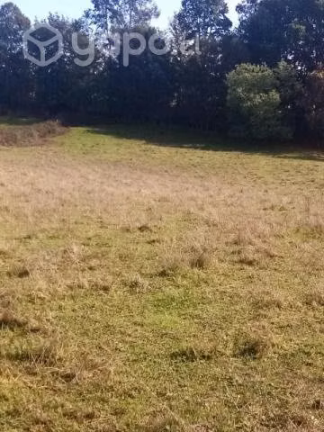 Vendo campo