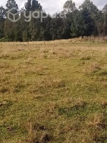 Vendo campo