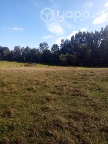 Vendo campo