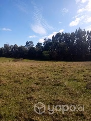 Vendo campo