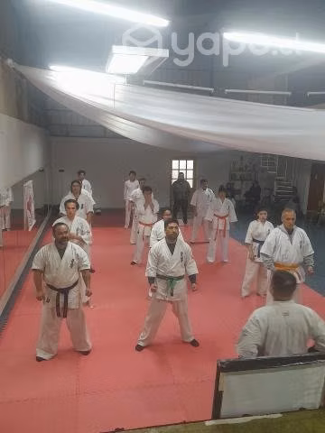 Clases karate de contacto