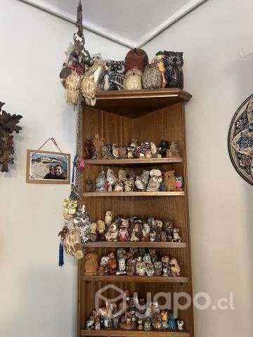 Lechuzas - Imagen 3