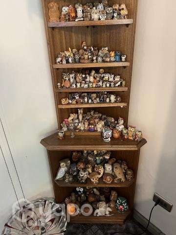 Lechuzas - Imagen 2