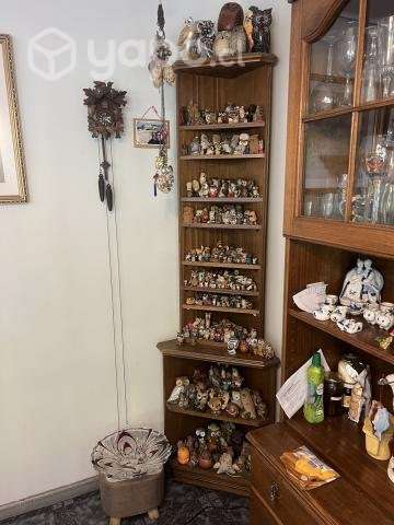 Lechuzas - Imagen 6