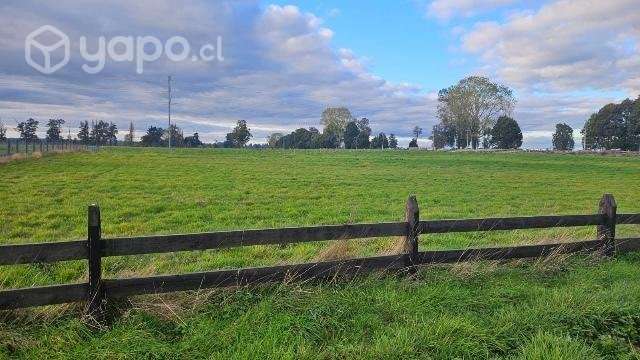 Parcela 5.000 M2 Graneros De Pilauco Iv - Imagen 3