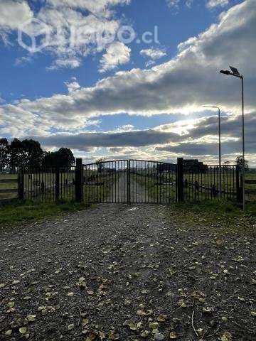 Parcela 5.000 M2 Graneros De Pilauco Iv - Imagen 6