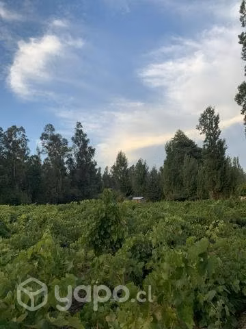 Vendo terreno