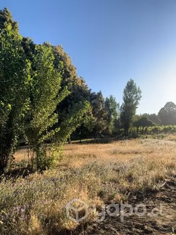Vendo terreno
