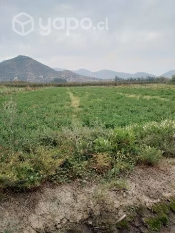 Parcela 5000 mt2, Fundo La Ramirana
