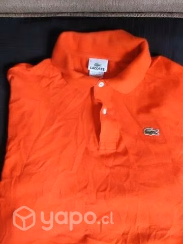 Polera lacoste original - Imagen 2