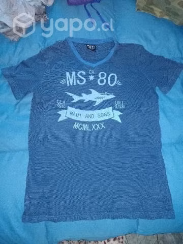 Poleras Talla 14 - Imagen 3
