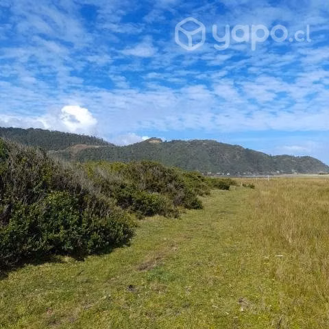 Vendo terreno Llico Bajo