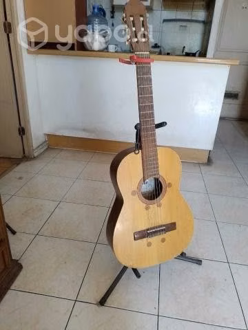Guitarra