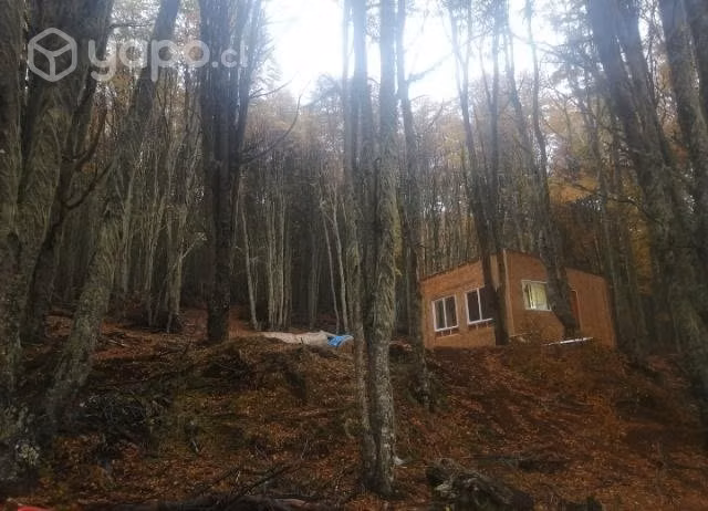 Vendo parcela de 1/2 hectárea con casa y cabaña