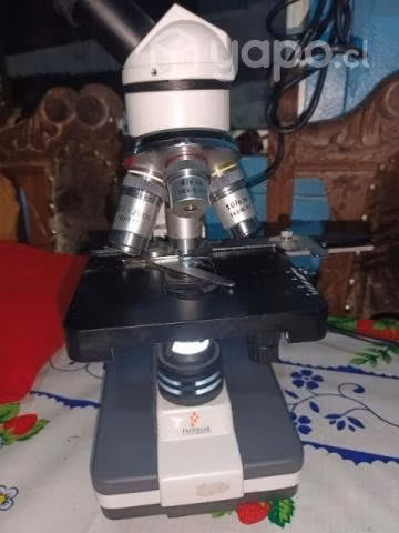 Microscopio binocular 4 objetivos