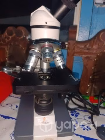Microscopio binocular 4 objetivos