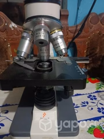 Microscopio binocular 4 objetivos