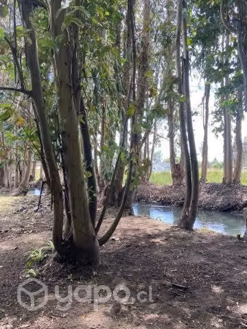 Parcela con dos casas en el Maule