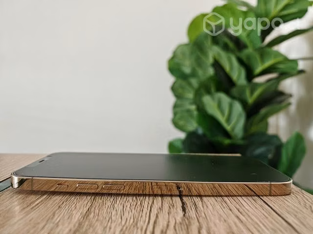 IPhone 12 Pro Max Dorado 128GB