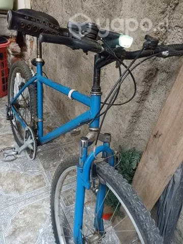 Bicicleta sin marca, Conversable