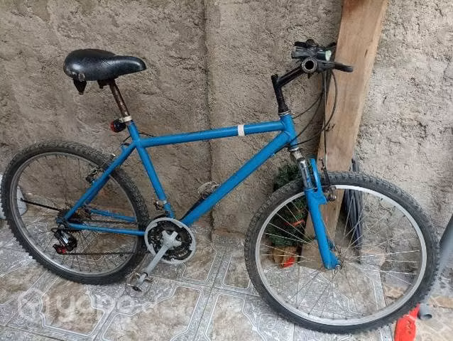 Bicicleta sin marca, Conversable