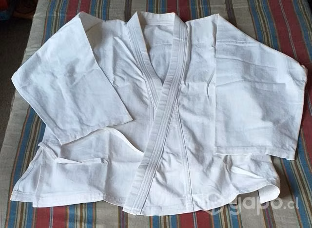 Traje Artes Marciales - Imagen 2