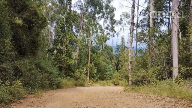 Bella parcela con luz, agua e internet en Valdivia