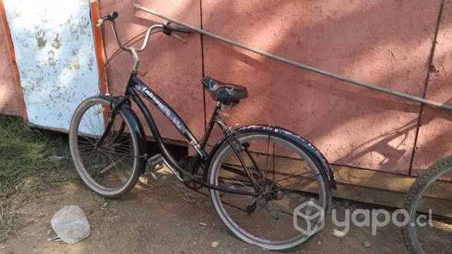 Bicicleta de Paseo