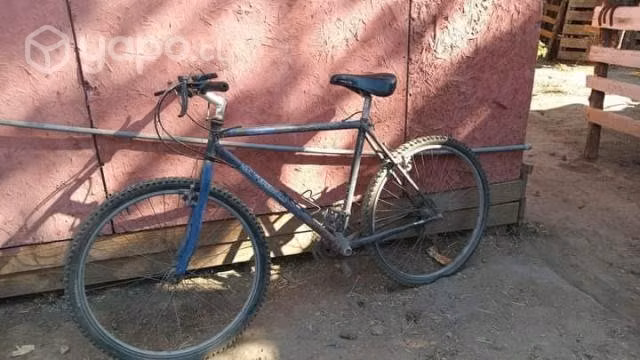 Bicicleta en venta
