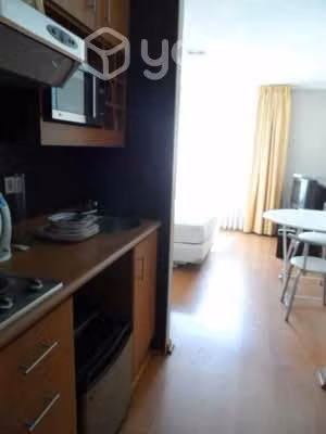 Departamento estudio Bellas Artes, Oportunidad