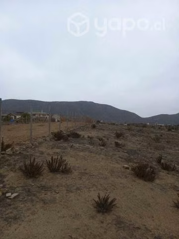 Terreno arrayan costero - Imagen 10