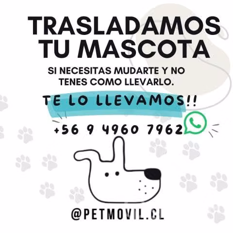 Esterilizacion a Bajo Costo