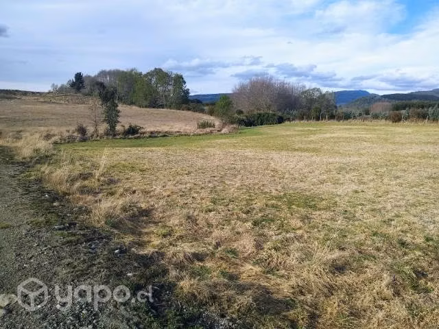 Sitio Parcela sector Pedregosa Villa Alegre