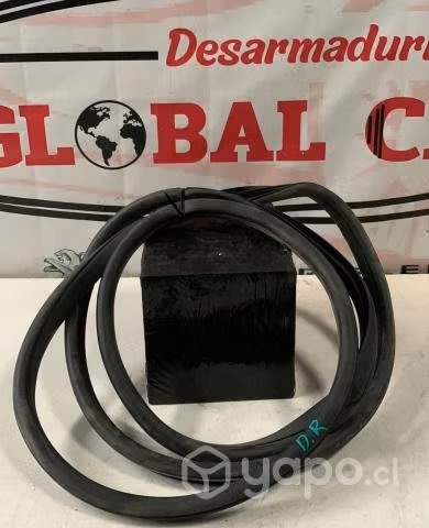 Goma de puerta delantera derecha MG ZS 2021 AUTO