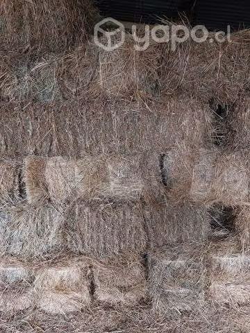 Fardos
