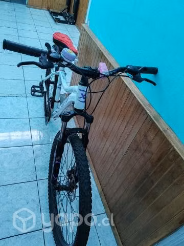 Bicicleta oxfor