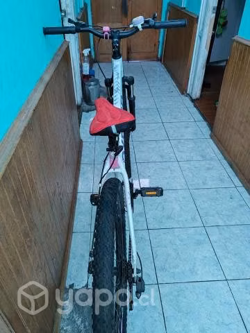 Bicicleta oxfor