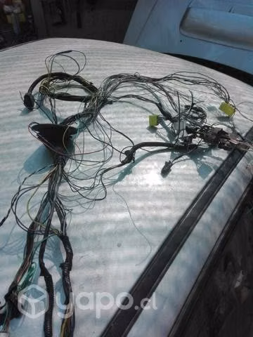 Eléctrico Automotriz