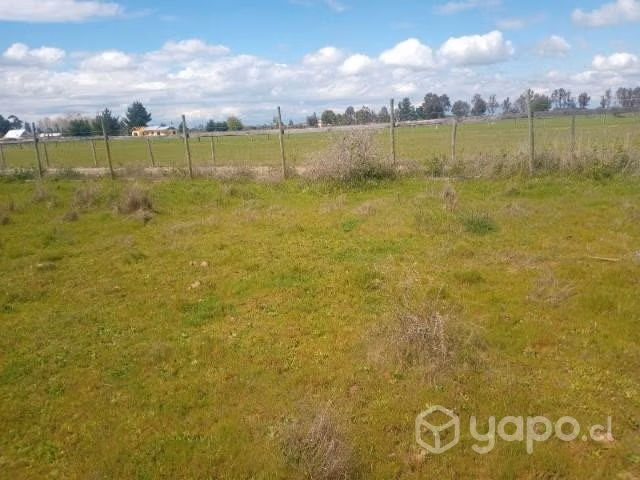 Se vende Parcela (5000 m2) Parral